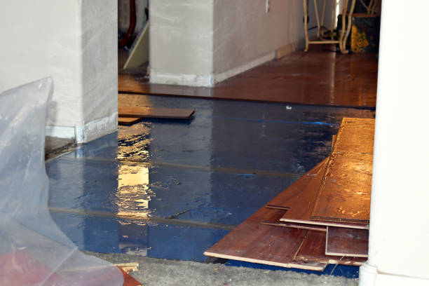 Professional Emergency Water Damage Restoration technician working in New Washington, IN