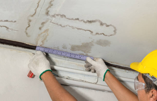 Reliable Emergency Water Damage Restoration contractor in New Washington, IN by Water Damage Irwin